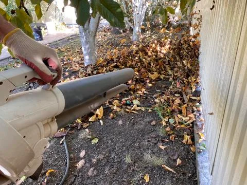 Man using a blower, a vacuum cleaner works in an autumn garden, blowing off l Stock Photos