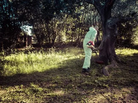 Man using brush cutter Stock Photos