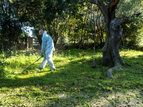 Man using brush cutter Stock-Fotos