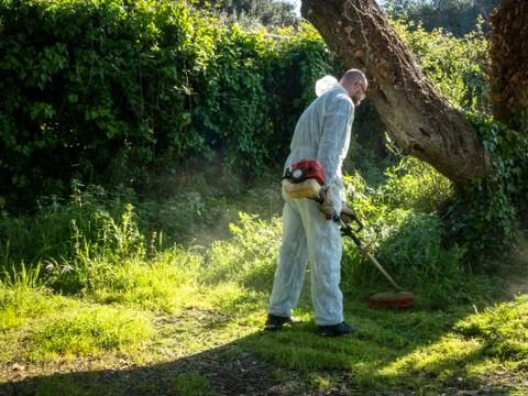 Man using brush cutter Stock Photos