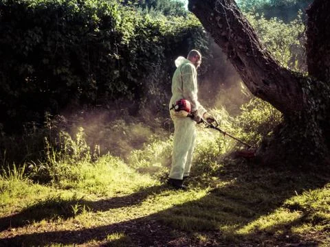 Man using brush cutter Stock Photos