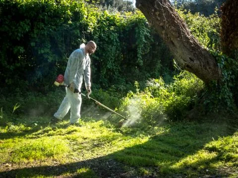 Man using brush cutter Stock Photos