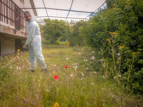 Man using brush cutter Stock Photos