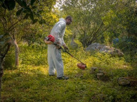 Man using brush cutter Stock Photos