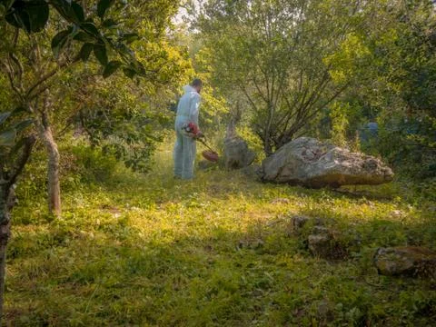 Man using brush cutter Stock Photos