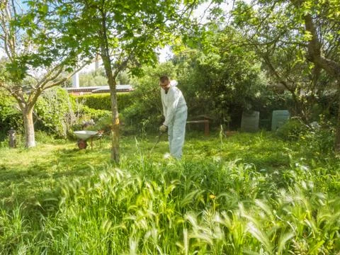 Man using brush cutter Stock Photos