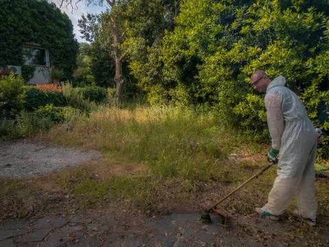 Man using brush cutter Stock Photos