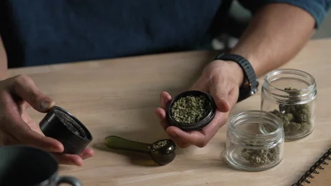 Man using cannabis grinder Stock Footage 333179738