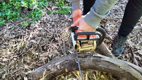 Man using chainsaw to cut fallen tree branch in forest area Stock Footage 308964088