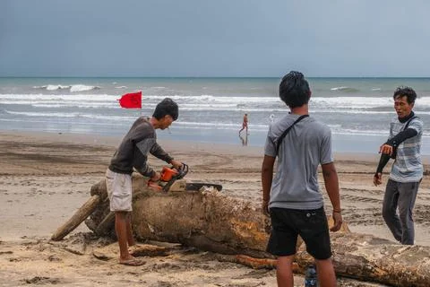 Man Using Chainsaw on Driftwood Log at Bali Beach Stock Photos