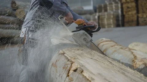 Man using a chainsaw while cutting tree log Stock Footage 263370017