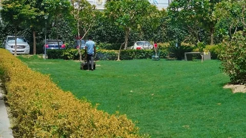 Man using an electric lawn mower to cut grass on the common gardens in a gated Video stock 197508172
