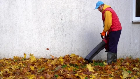 Man using electric powered leaf blower to blow autumn leaves from grass lawn. Stock Footage 130272925