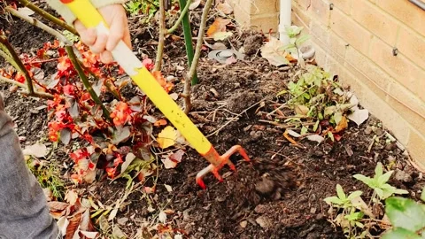Man using a garden fork digging compost into a flower bed into dark soil, w.. Stock Footage 320180980