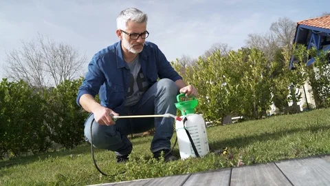 Man using garden sprayer on lawn in backyard Stock Footage 104188995
