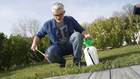 Man using garden sprayer on lawn in backyard Stock Footage 104190170