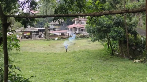 A man is using grass cutter to cut tall grasses Video stock 279329219