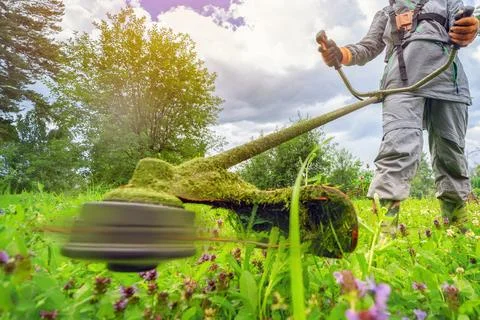 Man using a grass trimmer to cut the lawn in a vibrant, green garden. Active Stock Photos