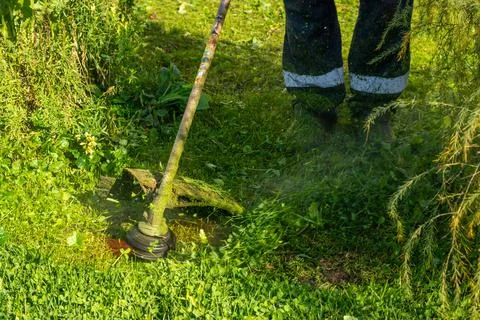 Man using grass trimmer to cut lawn in backyard. Gardener with trimmer Stock Photos