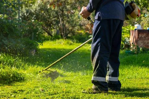 Man using grass trimmer to cut lawn in backyard. Gardener operating trimmer 写真素材