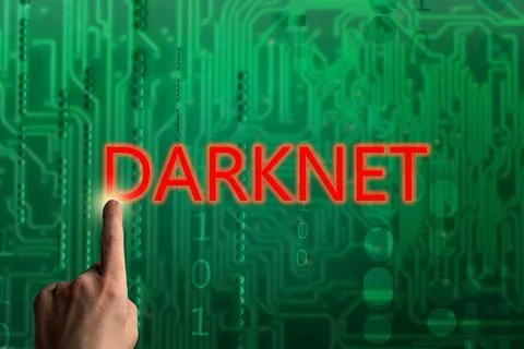 Man using hacking darknet. Data thief, internet fraud, dark web and cyber sec 스톡 사진