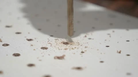 Man using hand electric drill to make holes on board plank, diy pegboard Video stock 290900082