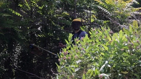 Man Using Heavy Duty String Trimmer To Cut Back Overgrown Brush. Slomo. Stock Footage 113527368