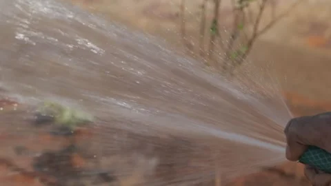 Man Using Hose to Watering Lush Green Garden Stock-Footage 268723277