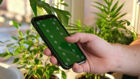 Man using iPhone XR smartphone viewing green screen green screen template Video stock 170717098
