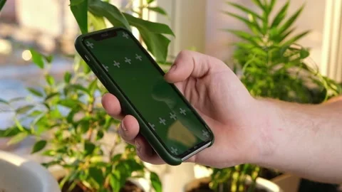 Man using iPhone XR smartphone viewing green screen green screen template Видео 171482943