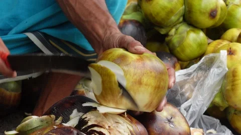 Man using a knife to cut and open raw fresh sugar palm fruit seeds. Stock Footage 205578842