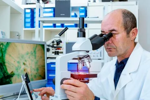 Man using a Lab microscope Stock Photos