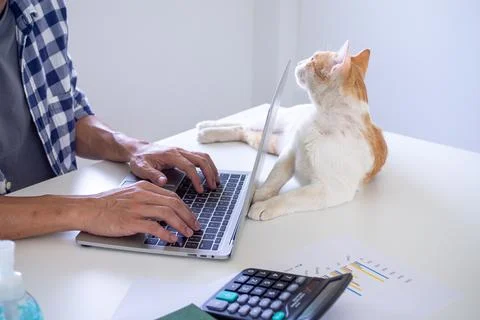 Man using a laptop at home to work or study online to prevent the spread of t Foto stock