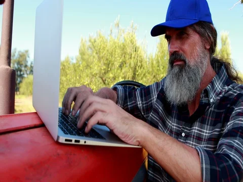 Man using laptop in olive farm 4k Stock Footage 79262738