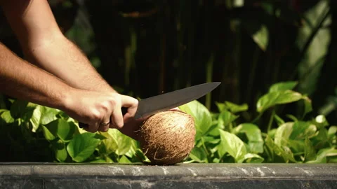 A man using a large knife and try to open a fresh coconut. Strong fruit Stock-Footage 169419497