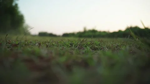 Man using lawn mower cutting grass Video stock 151249218