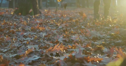 Man using leaf blower for cleaning city park Stock Footage 249318274