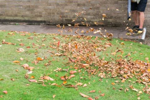 Man using a leaf blower to tidy a garden lawn Stock Photos