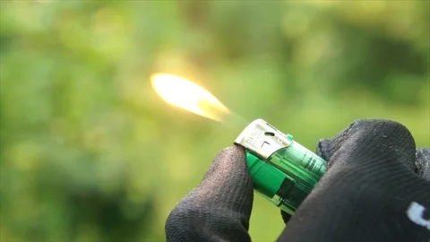 Man using Lighter in Nature Forest Stock Footage 111855895