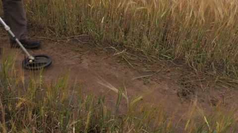 Man using Metal Detector on a Field Road. Pan Stock Footage 67671515