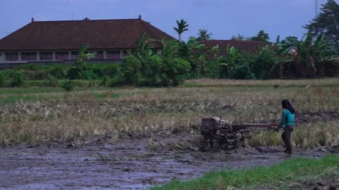 Man using a moden trill in bali rice fields Stock Footage 99294514
