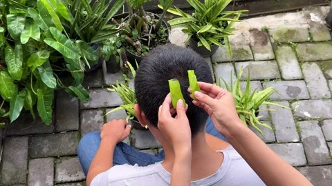 Man using natural aloe vera for hair care Stock Footage 263603501