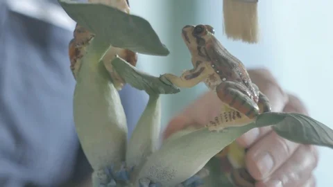 Man using paint brush to dust off ornamental frog. Not B&amp;W Stock Footage 72757738