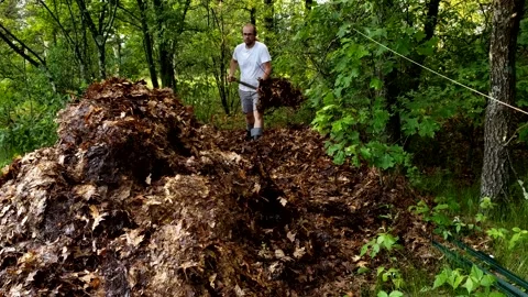 Man using pitchfork to gather leaves in one pile to let it rot to make compost Stock Footage 197385007