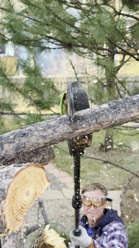 Man Using Pole Saw to Cut Tree Branches in Backyard 库存影片 325524860