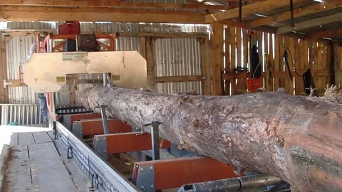 Man using saw mill Stock Footage 95258693