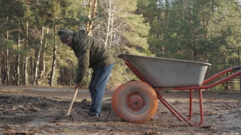 Man using shovel and wheelbarrow to prepare soil in wooded area Stock Footage 313517511