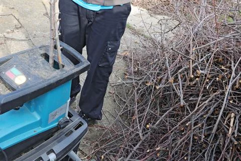Man, using a shredder, shreds branches from the remains after pruning garden 스톡 사진