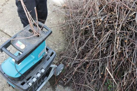 Man, using a shredder, shreds branches from the remains after pruning garden 스톡 사진