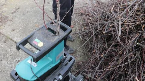 Man, using a shredder, shreds branches from the remains after pruning garden 스톡 사진